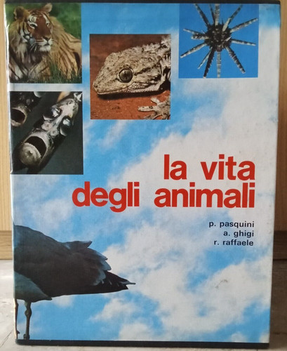Vita degli animali - animali,