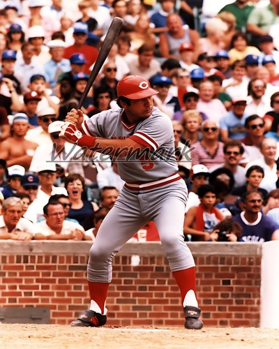 Mlb cincinnati reds johnny - cincinnati,