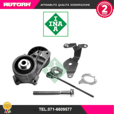 534000710 Tendicinghia