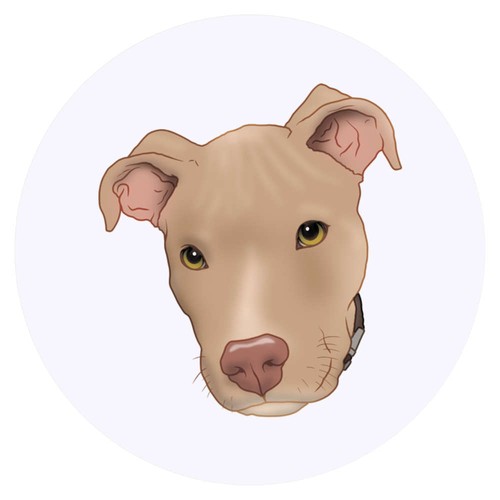 Adesivi fawn pit - adesivi, bull