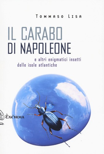 Carabo napoleone - di,