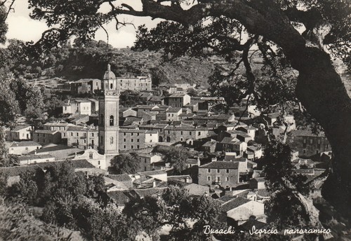 1960 cartolina busachi - -,