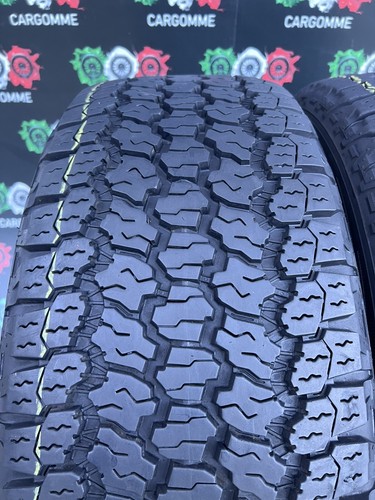 Pneumatici 255 113h xl - 60, r