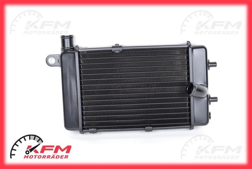 Radiatore acqua aprilia - radiatore, rsv