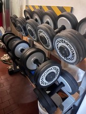 Vendo manubri e rastrelliera Technogym completa con 2 X 10-12-14-16-18-20 kg