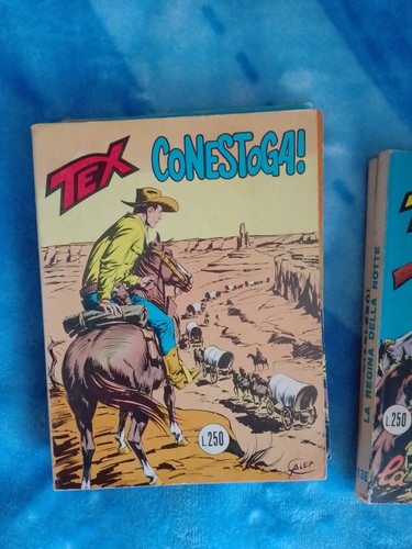 Tex 133 conestoga 1 - tex, n
