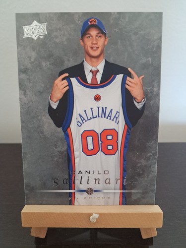 Danilo gallinari rookie knicks - gallinari,
