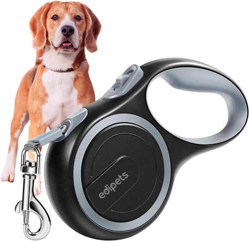Guinzaglio per cani - guinzaglio,