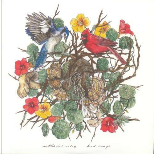 Riley nathaniel bird - riley,, songs