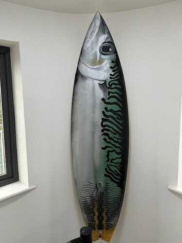 Tavola surf originale off - 1,