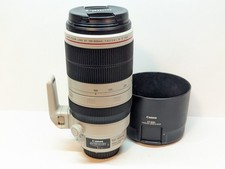 Canon EF 100-400mm f/4.5-5.6 L