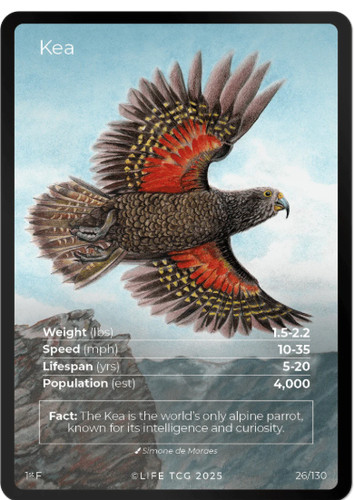 2025 life tcg kea full - full, art