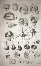 MEDICINA-OCULISTICA-OCCHIO-VIS