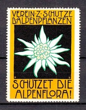 426293/ Marchio pubblicitario
