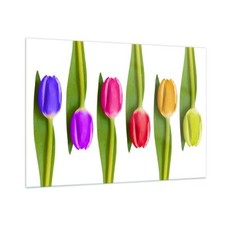 Quadro su Vetro 100x70cm