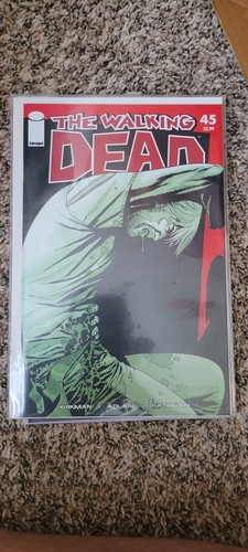 The walking dead fumetto lotto - the,