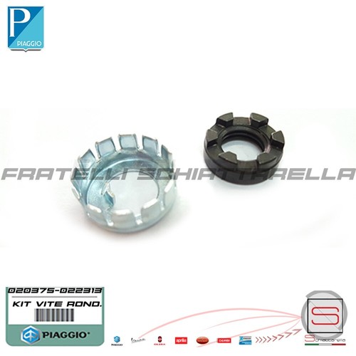 Kit dado scodellino fermo - kit,