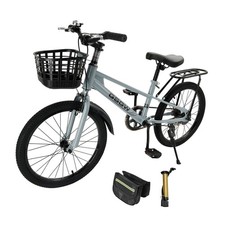 Bicicletta pollici - 20,