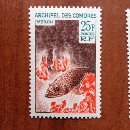 Comores mnh merou - comores, **