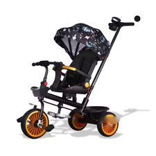 Triciclo Triciclo 6 in 1 per