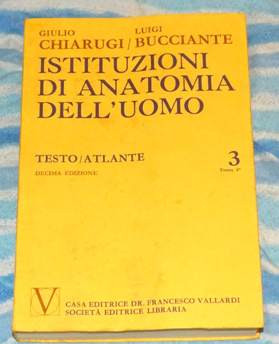 Istituzioni anatomia - istituzioni,