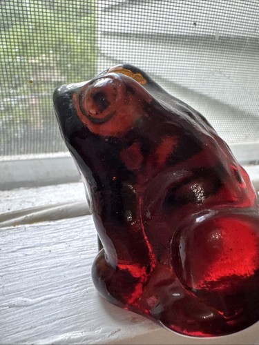 Pioneer glass frog - pioneer,