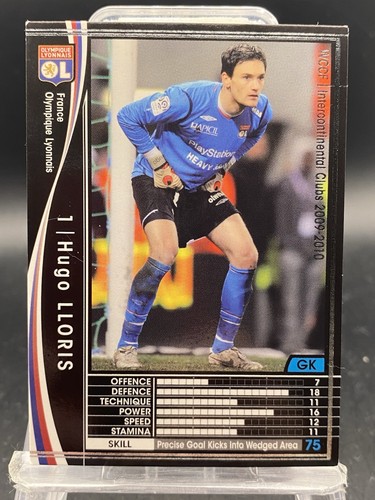 Hugo lloris panini - lloris,