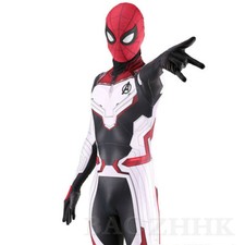 Costume Spider-Man Quantum