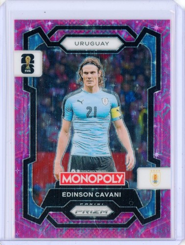 2026 panini fifa - panini, world