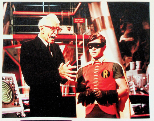 Foto epoca colori robin - foto, a