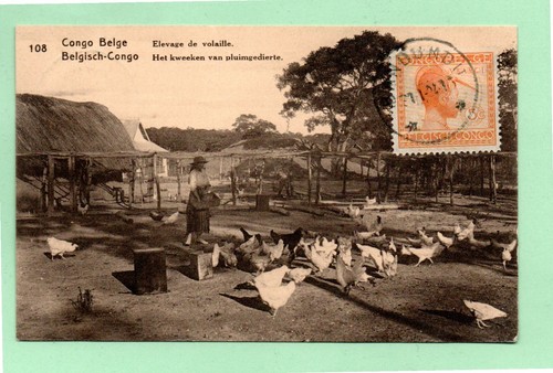 Belgio congo 1924 - congo, vecchia