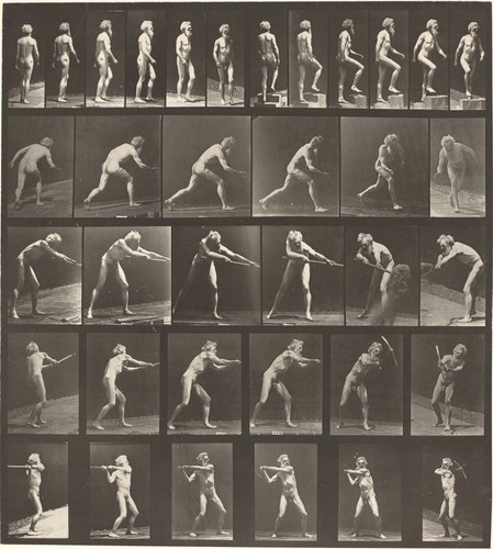Eadweard muybridge locomotiva - eadweard,
