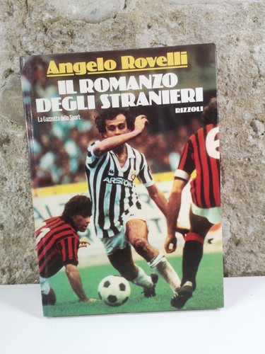 Romanzo degli stranieri - il,