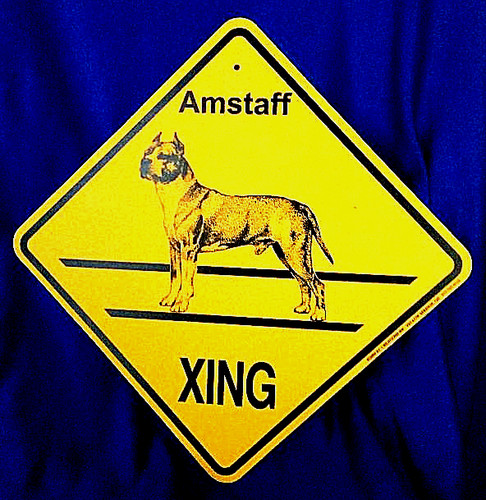 Insegna cane amstaff - insegna, xing