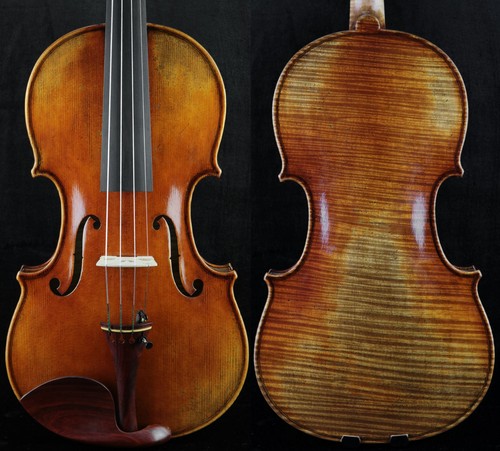 Grande maestro violino - maestro,