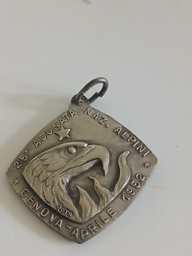 Medaglia adunata nazionale - medaglia,