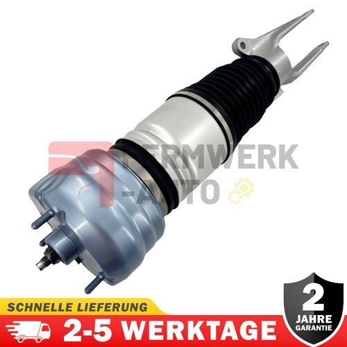 Sospensione pneumatica - 1x,