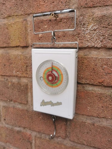 Bilancia pesca vintage avon - bilancia,