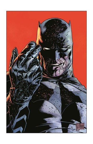 Batman catwoman the gotham - batman,