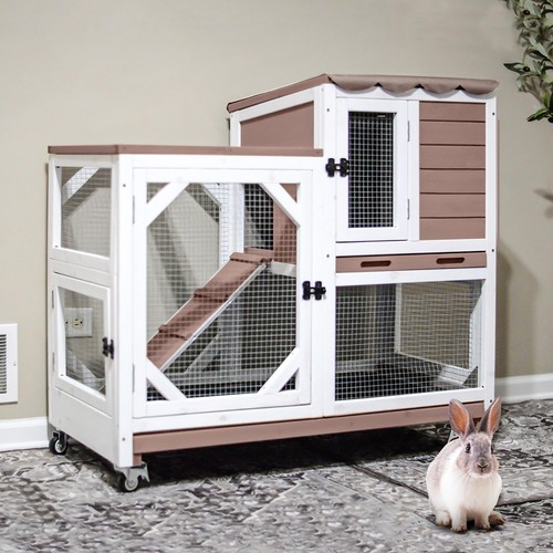 Rabbit hutch indoor outdoor - rabbit, 2