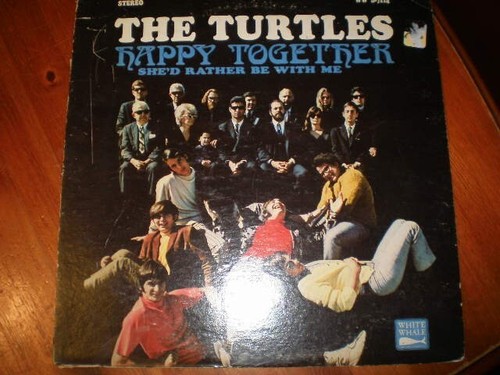 The turtles happy together - turtles,
