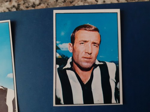 Panini calciatori 1965 - calciatori, 1965/66
