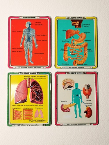 Tavole latta il corpo - latta,