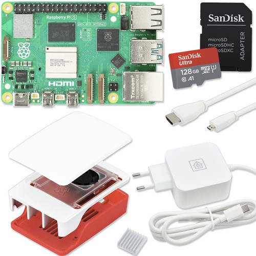 Raspberry 16gb di ram - 5,
