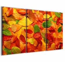 Quadro Moderno 100 x 60 cm Stampa su Tela Canvas 3 pz Multi colored leaves