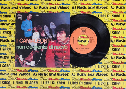 Camaleonti non c e - 45,