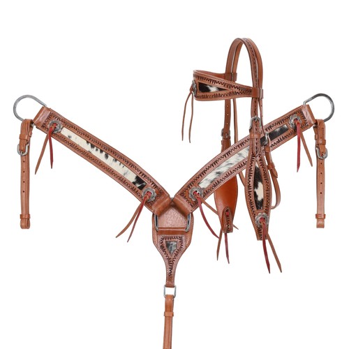Showman set collari per - set,