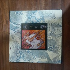 Vinile giri the cult - 33,