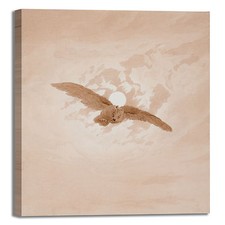 Caspar gufo vola al chiaro di