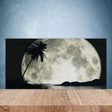 Paraschizzi da Cucina 100x50